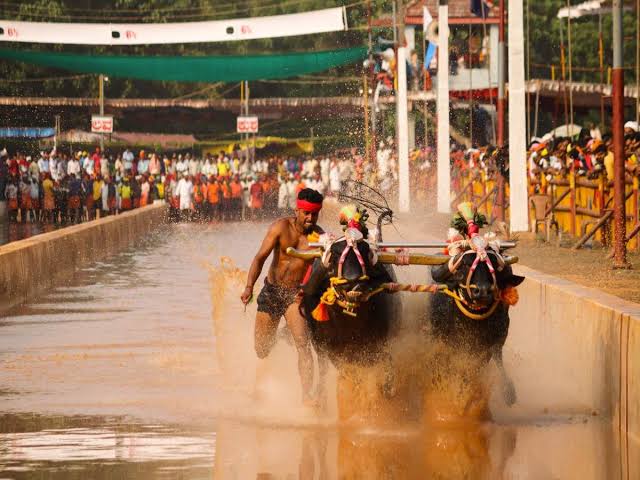 Famous Festival in Karnataka