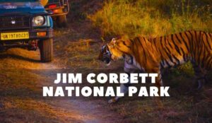 Places to Visit in Jim Corbett