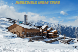 How to Reach Auli